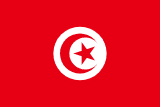Flag of TN
